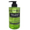 Kundal All Day Smell Cover Youth Shampoo Lime Basil & Mandarin 400ml Head Smell x3SET(SH) / 쿤달 올데이 스멜커버 청소년 샴푸 라임 바질 앤 만다린 400ml 정수리 냄새 x3SET(SH)