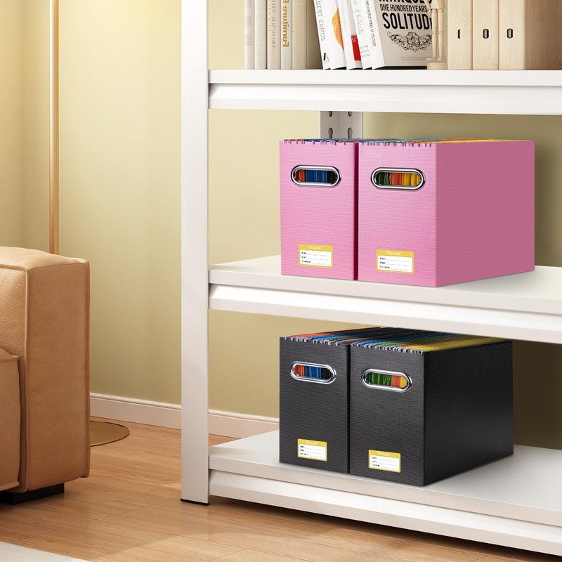 BALEINE File Organizer, File Box with Handle, Cardboard File Folder