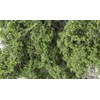 Fine Leaf Foliage, Medium Green/80 cu. in.