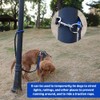 DONGKER Bungee Dog Leash, 3.9ft/4.9ft 360º Rotating Waist Double Ended