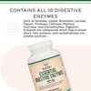 Digestive Enzymes - 800mg Blend of All 10 Most Essential