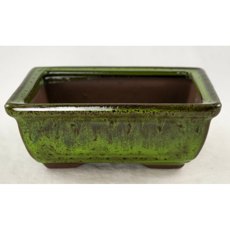 Yubonzai Rectangular Shohin Bonsai, Succulent Pot 6"x 4.5"x 2.25" w