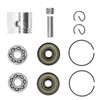 41.1mm Piston Kit Crank Bearing Fit for Poulan 220 221