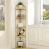 5 Tier Corner Shelf Stand, Gold Metal Frame Corner Shelf