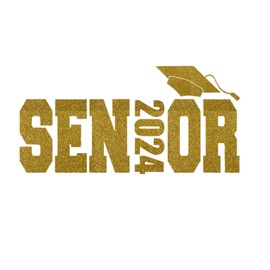 Senior 2024 Iron On Decal, Graduation Shirt Transfer, Graduate TShirt Patch, DIY Crafts, Graduation Cap, Pick Size and Color, Iron-On Almost Anything in 5 Min (Old Gold Glitter)