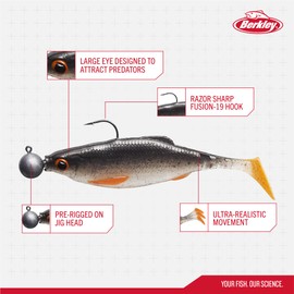 Berkley Pulse Realistic Roach Prerigged Soft Bait Shad with Jig Head - Ultra Realistic Shape and Action for Predator Fishing - Pike, Zander, Perch