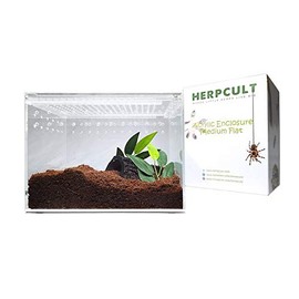 Herpcult Magnetic Acrylic 8x6x6 Inch Medium Flat/Long Enclosure Reptile Terrarium Cage Tank Tarantula Scorpion Sling Isopods Lizards Invertebrates Insects Mantis Snake Gecko Frog
