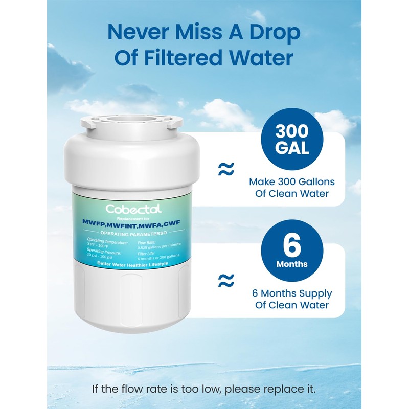 RWF0600A Replacement for ge Water Filter MWFP, MWFA, MWFAP, MWFINT,