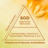 Suplemento Superóxido Dismutasa Sodimel Aminoácidos Ceramidas Antioxidante Antiedad Cápsulas
