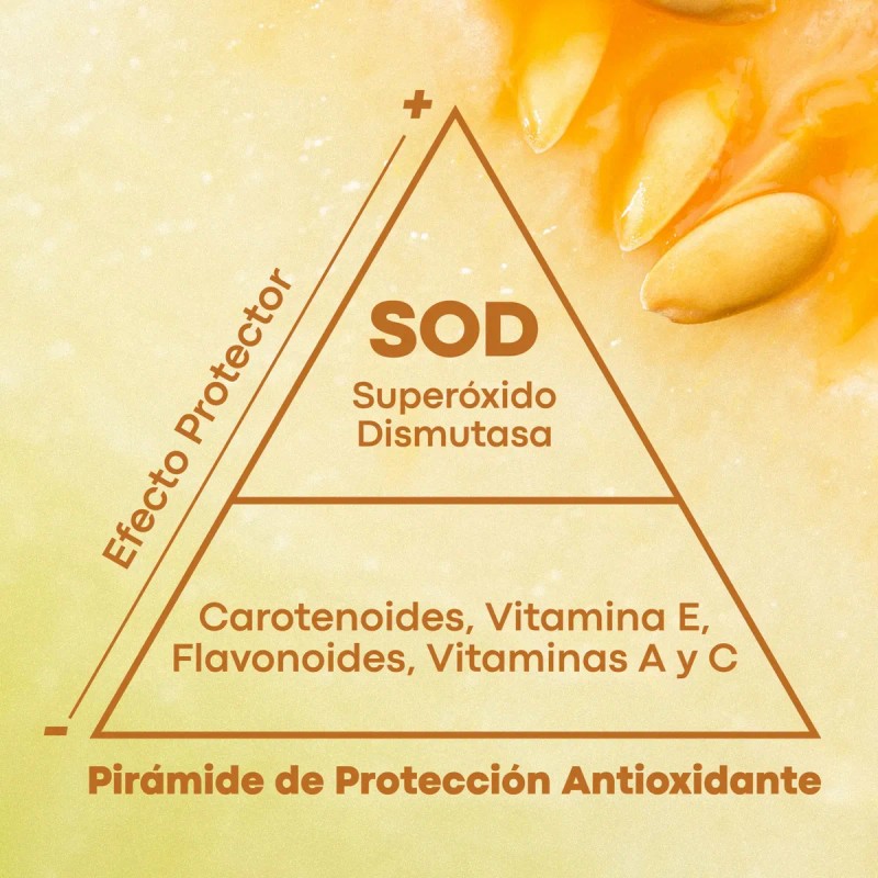 Suplemento Superóxido Dismutasa Sodimel Aminoácidos Ceramidas Antioxidante Antiedad Cápsulas