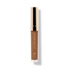 100PercentPure 100% Pure Fruit Pigmented® 2nd Skin Concealer - Shade