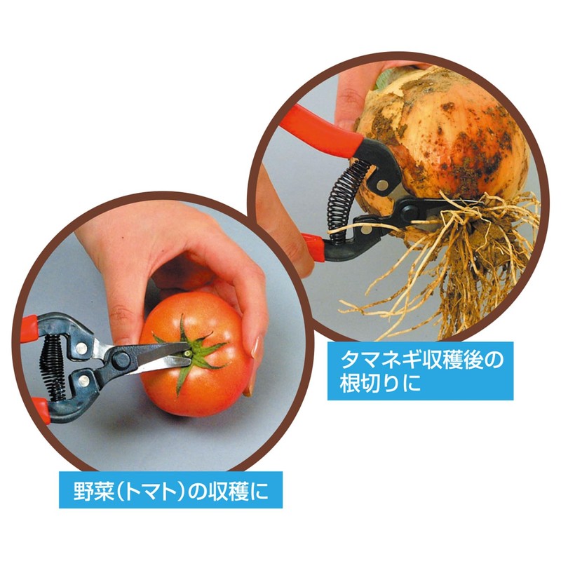 龍宝丸 先曲り収穫鋏 170mm №SR-001