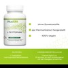 Plusvive L-Tryptophan 240 Capsules - High Dose with 500 mg