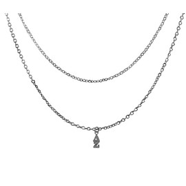 Delta Zeta Silvertone Double Chain Fashion Necklace,Adjustable From 18 Inches To 21 Inches.What A Great Gift For Yourself,A A Big Or Little Sister. Hypoallergenic-Safe,No Nickel,Lead In The Metal©2024