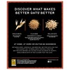 Better Oats 100 Calorie Maple and Brown Sugar Oatmeal Packets,