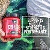 BSN Micronized Creatine Monohydrate Powder, Unflavored Creatine Powder, Micronized, Supports