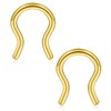 Ruifan 316L Surgical Steel U-Shaped & Horseshoe Nose Septum Hanger