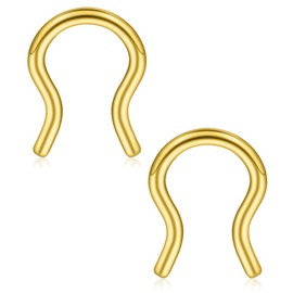 Ruifan 316L Surgical Steel U-Shaped & Horseshoe Nose Septum Hanger Retainer Nose Hoop Cartilage Tragus Rings 14g 6PCS - Gold