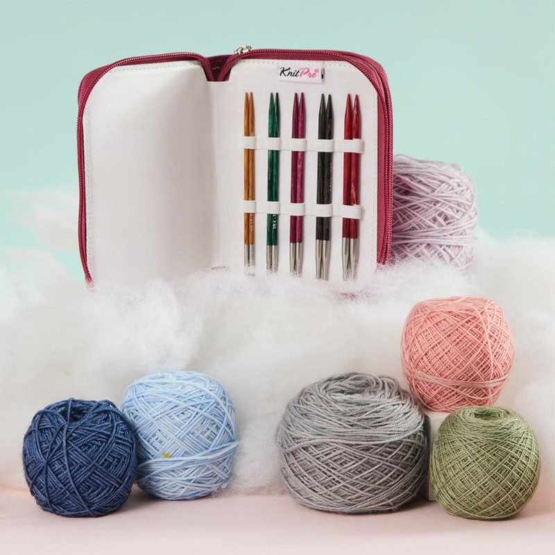 KnitPro Dreamz Spec. Interchang. needle tip 10cm set Starter- 1pc