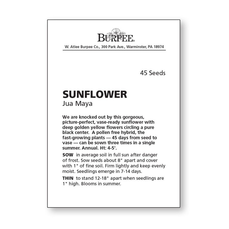 Burpee Jua Maya Hybrid Sunflower Seeds 45 seeds