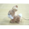 RC Bunny Roppy