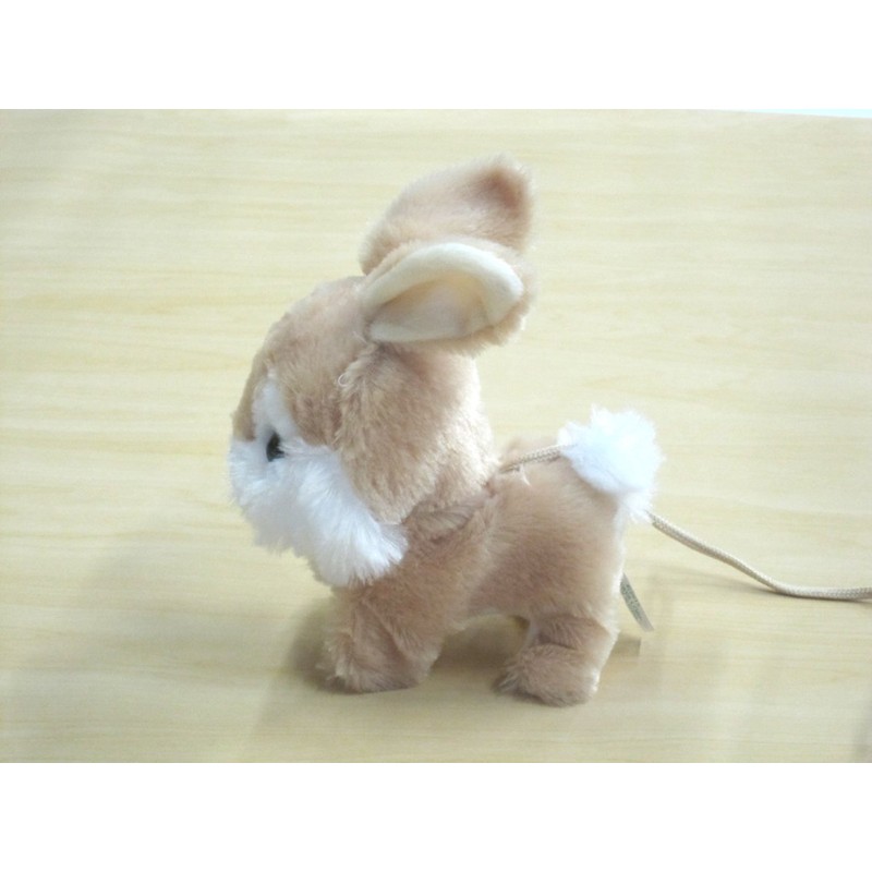 RC Bunny Roppy
