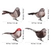 4Pcs Artificial Birds Vivid Looking Real Bird Photo Props with