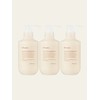 [Exclusive composition] [Set of 3] Stay Hair Deep Cleansing Shampoo 500ml / [단독구성][3개세트] 스테이 헤어 딥 클렌징 샴푸 500ml
