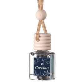 Bookish Scented Car Freshener - Long Lasting - Air Car Diffuser:_Cassian