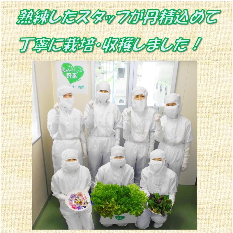 [No Need to Wash Vegetables] 6 Items "Random Set" Super
