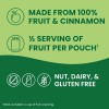Undisclosed GoGo squeeZ Applesauce and Fruit Puree Variety Pack, Apple