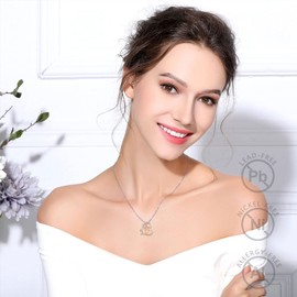 CELESTIA Necklace Mother Daughter and Son Heart Necklace 925 Silver Mum Jewellery Mother's Day Birthday Gifts for Mum Daughter Grandma Stepmother Mother in Law, Sterling Silver, Cubic Zirconia