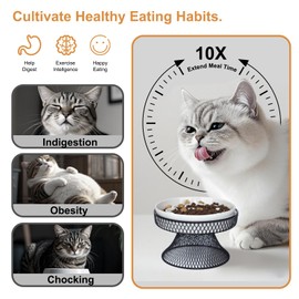 Raised Ceramic Cat Slow Feeder Bowl, Elevated Cat Plate with Stand, Slow Bowl for Wet and Dry Food, Whisker Friendly Pet Feeder for Kitten and Small Dog Perfect for Pet Gift