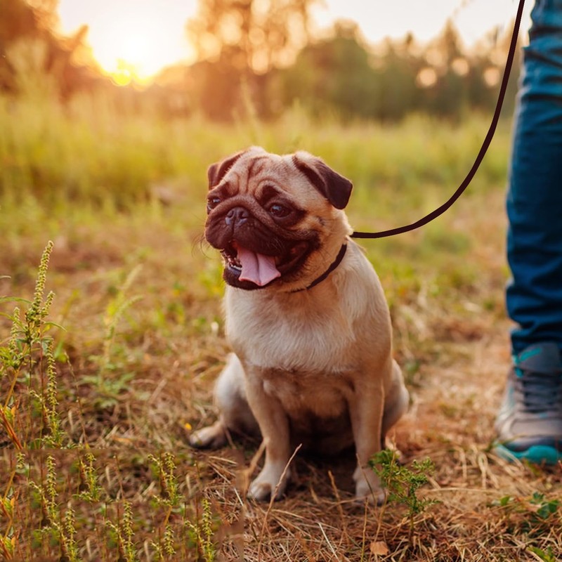LWBMG Real Leather Slip Lead Dog Leash, Thin Lightweight Adjustable