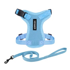 Voyager Step-in Lock Adjustable Cat Harness w. Cat Leash Combo Set with Neoprene Handle 5ft - Supports Small, Medium and Large Breed Cats by Best Pet Supplies - Baby Blue, XXS