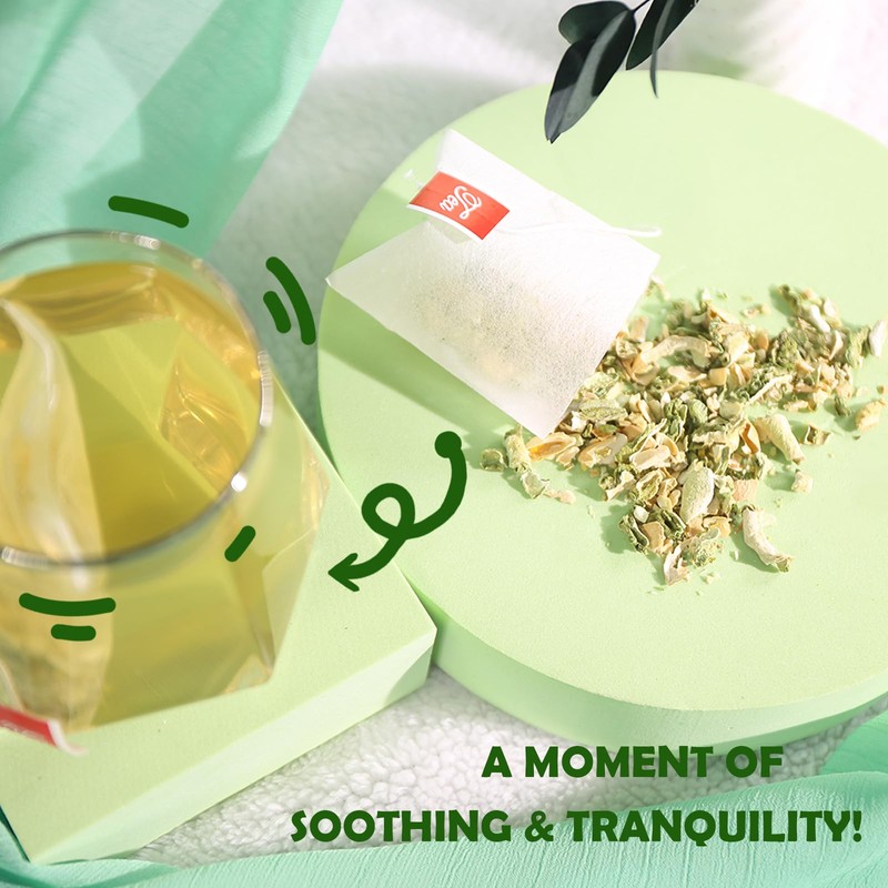 TEARELAE - Bitter Melon Tea Bags - 2g x 50