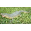 Unbranded Alligator toy replica