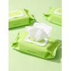 Real Centella Cica Watery Cleansing Tissue (100 sheets) / 리얼