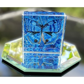 Crystal Butterfly Paperweight Collectible Gift Blue and Black Morpho 2.5" x 2.5" 0.5" with Original Painting by International Award Winning Artist Debbie Grossman