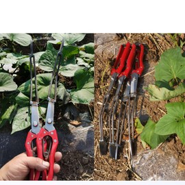 Seedling Planting Aid - Hand Planter Tool - Greenhouses Plant Germination for Organic Farmers Nursery Operators Homesteaders Community