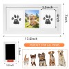 Xylitic New Best Paw Print Kit, Pet Impression Kit and