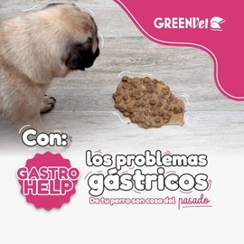 Gastro help, Antigastritis para perros
