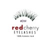Red Cherry #DW False Eyelashes (Pack of 3 Pairs)