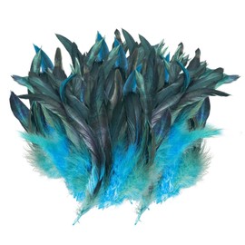 RELKLYU 200 Piume, Materiali per Artigianato Fai -da -Te, Oggetti di Scena, Accessori per Abbigliamento, Decorazioni di Piume.