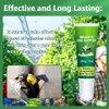 Carpenter Bee Traps for Outside, Brain's Bee Butter, 4 Pack
