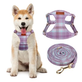 CHEDE No Pull Plain Pattern Dog Harness- Lightweight and Soft Dog Harness, Adjustable Small Dog Harness and Leash Set, with Dog Leash, Suitable for Puppy Small and Medium-Sized Dog