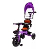 Aeiou Triciclo Para Niños Con Toldo Tct227 Morado