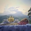 Kaya Kopi Premium Kopi Luwak From Indonesia Wild Palm Civets