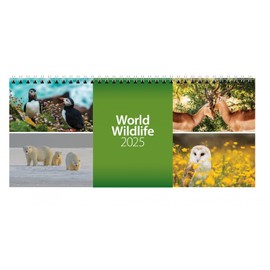 2025 World Wildlife Desk Calendar (CL08)