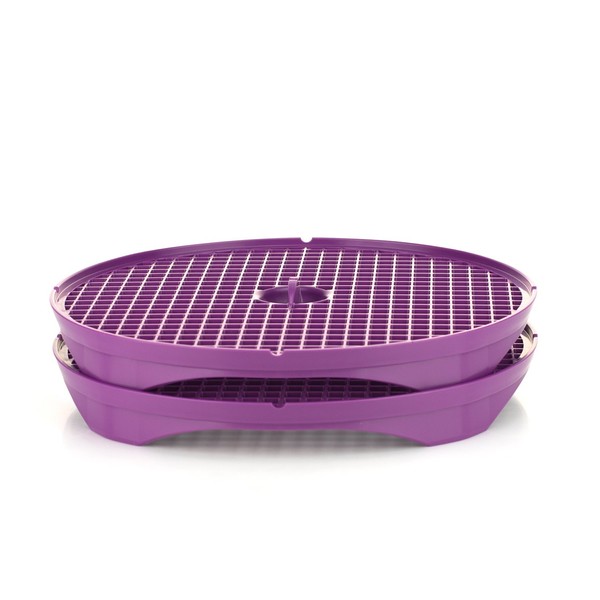 Börner Crispymaker (2-piece Set/Purple) • Microwave Chips Maker • Crisp